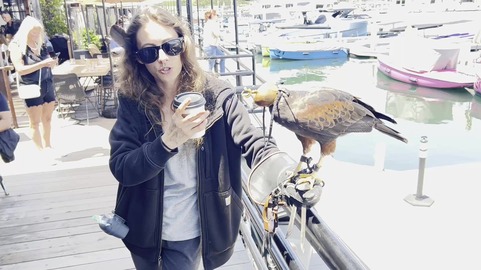 Bird Earn